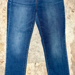 d. jeans Women's Classic Straight Leg Denim